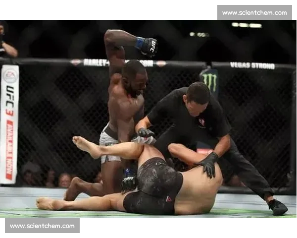 UFC大布对决锤子巅峰重炮碰撞全程回顾与胜负关键深度解析