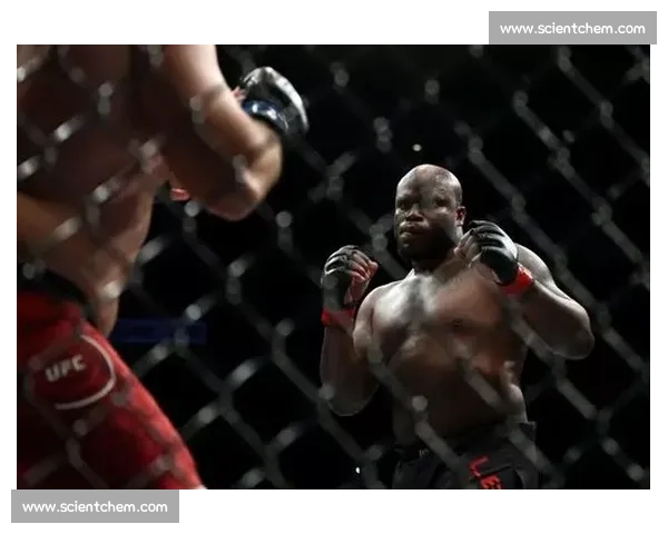 UFC经典重炮对决回顾锤子硬撼凯恩谁才是真正的重量级统治者